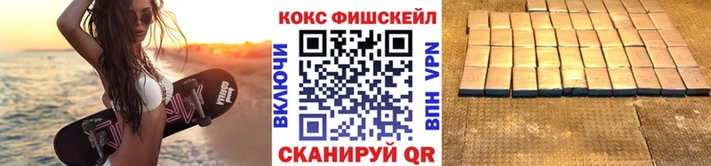 ссылка на мегу рабочий сайт  Сясьстрой  Кокаин Fish Scale 