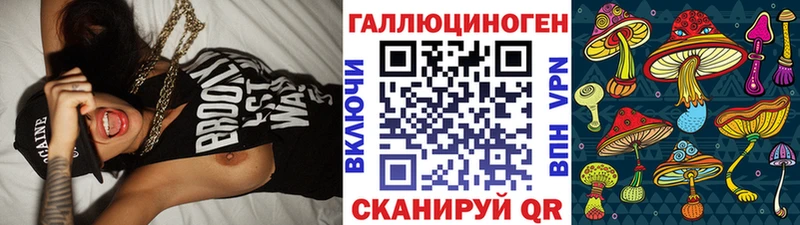 MEGA ТОР  Сясьстрой  Псилоцибиновые грибы Psilocybine cubensis 